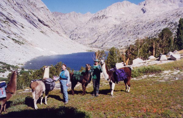 Melinda and Douglas with llamas above Upper Palisade Lake